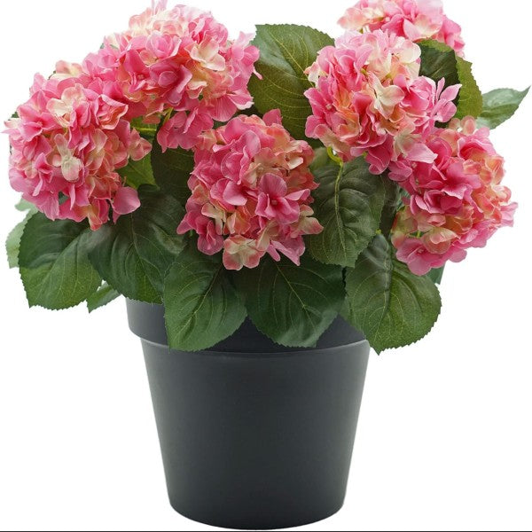 Artificial Pink Hydrangea in Black Pot 50cm/20in - A1355