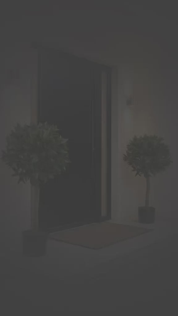 Bay Trees (Set of 2) 4ft/124 cm - With Real Wood Trunk, Natural Leaf and Brown Berries - A1002