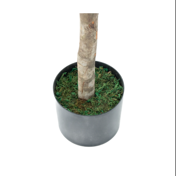 Artificial Olive Tree, Premium Quality Natural Appearance 5ft/150 cm - A1034