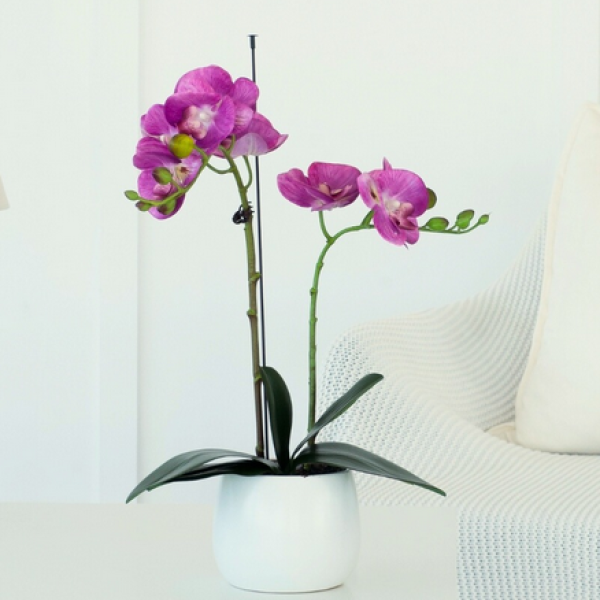 Elegant Double Stem Pink Real Touch Artificial Potted Orchid (46cm) in Round White Ceramic Pot A1179
