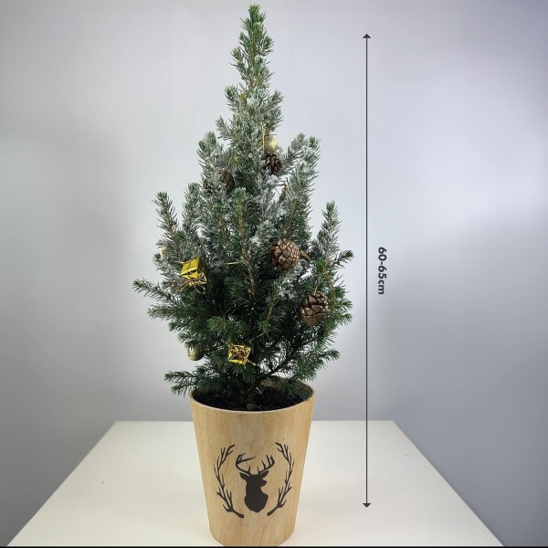 Real Living 60-65cm Picea Christmas Tree | Conifer Garland & Pinecones | Festive Reindeer Design Wood Pot | for Indoor & Outdoor, Gold with Snow, 60cm - GB1464