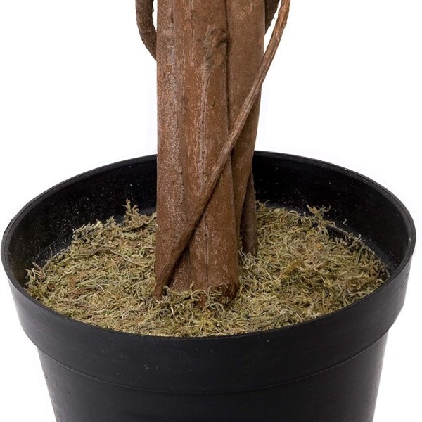 Artificial Variegated Ficus Tree 180cm/6ft - A1272