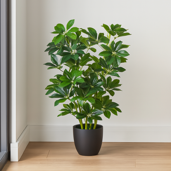 *Clearance* Artificial Schefflera Umbrella Plant in Black Pot 95cm/3ft - A1163C
