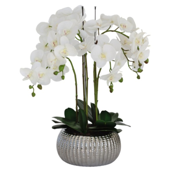 Elegant Large Six Stem Butterfly White Real Touch Artificial Potted Orchid (65cm) in Decorative Silver Ceramic Pot A1044