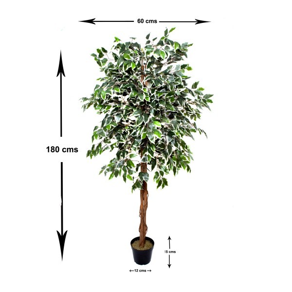 Artificial Variegated Ficus Tree 180cm/6ft