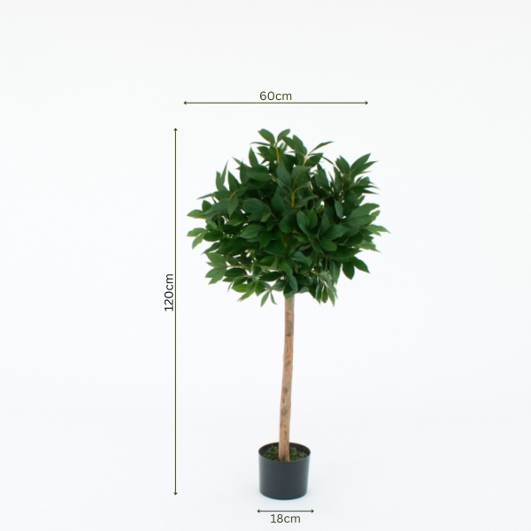 Artificial Laurel Tree With Real Wood Trunk, Natural Leaf and Brown Berries 4ft/120 cm - A1038