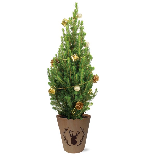 Real Living 60-65cm Picea Christmas Tree | Conifer with Gold Garland & Pinecones | Festive Reindeer Design Wood Pot | for Indoor & Outdoor, 60cm - GB1461