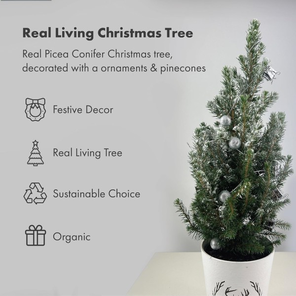 Real Living 60-65cm Picea Christmas Tree | Conifer Garland & Pinecones | Festive Reindeer Design White Wood Pot | for Indoor & Outdoor, Silver with Snow, 60cm - GB1465