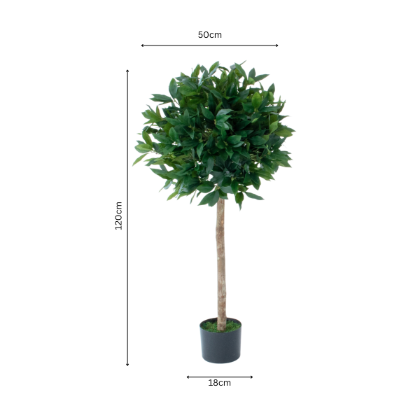 Artificial Bay Trees (Set of 2) With Real Wood Trunk, Natural Leaf and Brown Berries 4ft/120 cm - A1002