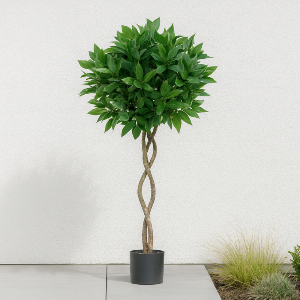 *Clearance* Artificial Twisted Trunk Bay Laurel Tree With Wood Effect Trunk, Natural Leaf and Brown Berries 4ft/120 cm - A1324C