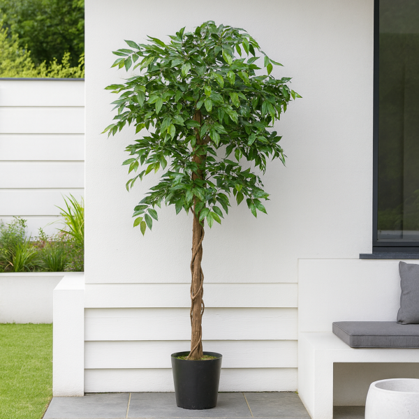 Artificial Ficus Weeping Fig Tree Potted Plant 160cm/5ft - A1274