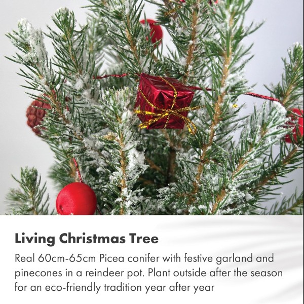 Real Living 60-65cm Picea Christmas Tree | Conifer Garland & Pinecones | Festive Reindeer Design Wood Pot | For Indoor & Outdoor, Red with Snow, 60cm - GB1466