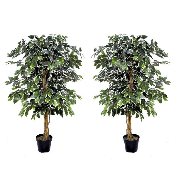 2 x Artificial Variegated Ficus Trees 120cm/4ft - A1155