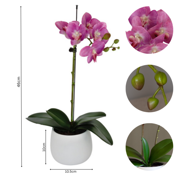 Elegant Single Stem Pink Real Touch Artificial Potted Orchid (46cm) in Round White Ceramic Pot A1072