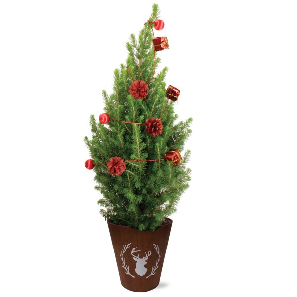 Real Living 60-65cm Picea Christmas Tree | Conifer with Red Garland & Pinecones | Festive Reindeer Design Dark Wood Pot | for Indoor & Outdoor, 60cm - GB1463