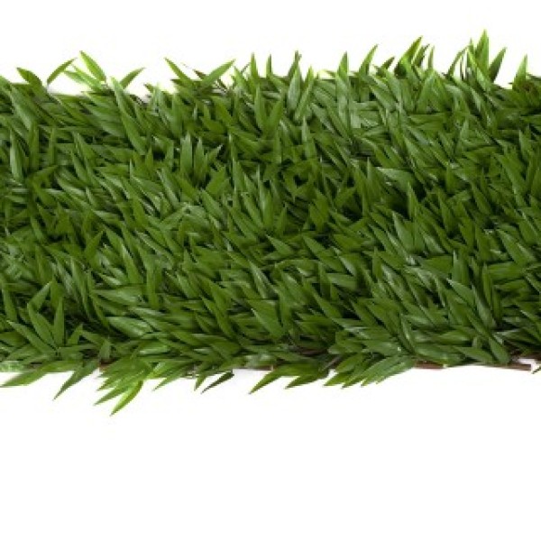 Artificial Expanding Green Wall Willow Trellis Fence with Bamboo Leaf Foliage (1m x 2m) - A1149
