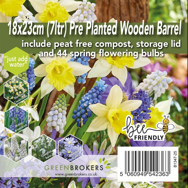 Pre-Planted Wooden Barrel Planter | 44 Blue & Yellow Spring Flowering Bulbs | Just Add Water | 18x23cm | Peat-Free Compost | Bee-Friendly Mix - GB1347