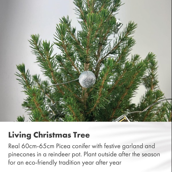 Real Living 60-65cm Picea Christmas Tree | Conifer with Silver Garland & Pinecones | Festive Reindeer Design White Wood Pot | for Indoor & Outdoor, 60cm - GB1462