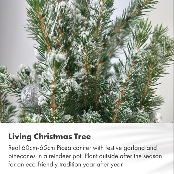 Real Living 60-65cm Picea Christmas Tree | Conifer Garland & Pinecones | Festive Reindeer Design White Wood Pot | for Indoor & Outdoor, Silver with Snow, 60cm - GB1465