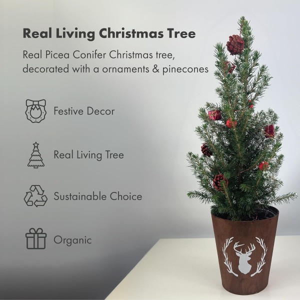 Real Living 60-65cm Picea Christmas Tree | Conifer with Red Garland & Pinecones | Festive Reindeer Design Dark Wood Pot | for Indoor & Outdoor, 60cm - GB1463