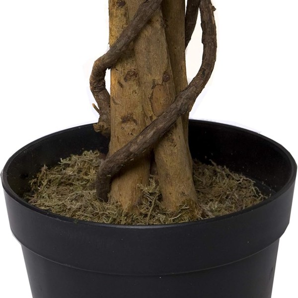 Artificial Variegated Ficus Tree 160cm/5ft - A1271