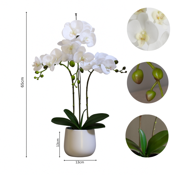 Elegant Large Triple Stem White Real Touch Artificial Potted Orchid (65cm) in Round White Ceramic Pot A1042