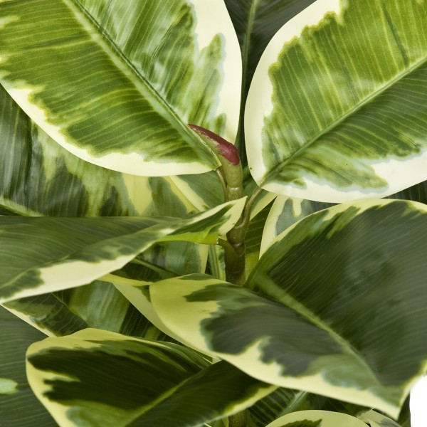 Artificial Real Touch Rubber Potted Plant 98cm/3ft - A1132