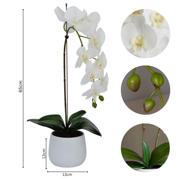  Elegant White Single Stem Real Touch Artificial Orchid (65cm) in Round White Ceramic Pot A1043