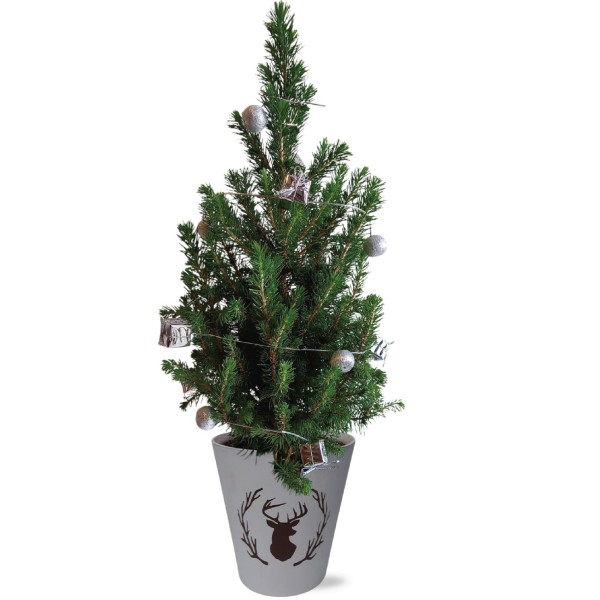 Real Living 60-65cm Picea Christmas Tree | Conifer with Silver Garland & Pinecones | Festive Reindeer Design White Wood Pot | for Indoor & Outdoor, 60cm - GB1462