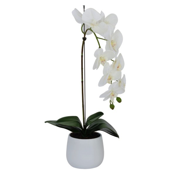  Elegant White Single Stem Real Touch Artificial Orchid (65cm) in Round White Ceramic Pot A1043