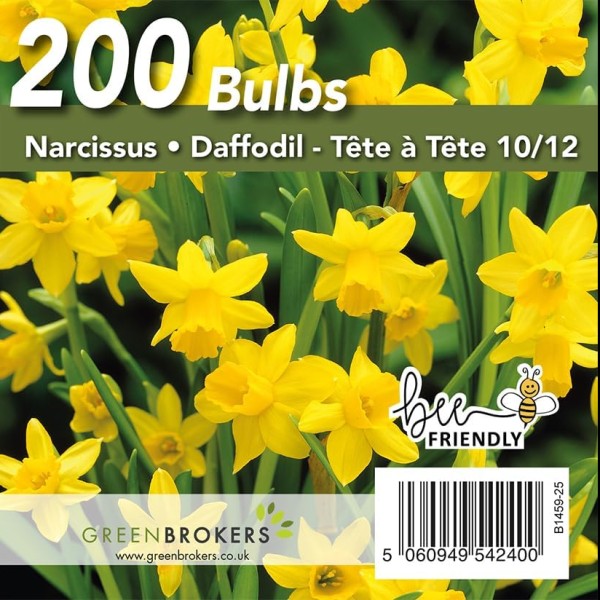 Yellow Narcissus Daffodil Bulbs | Big Buy Value Pack | 200 Bulbs | Bee Friendly | Easy Planting | Perfect Spring Flowers | Eco-Friendly Packaging - GB1459