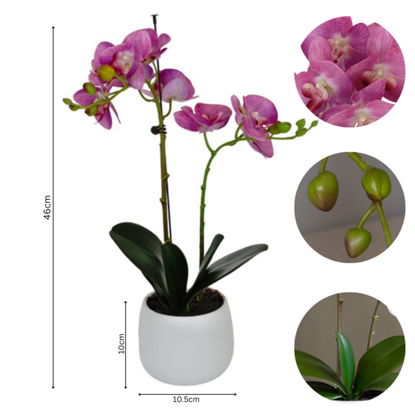 Elegant Double Stem Pink Real Touch Artificial Potted Orchid (46cm) in Round White Ceramic Pot A1179