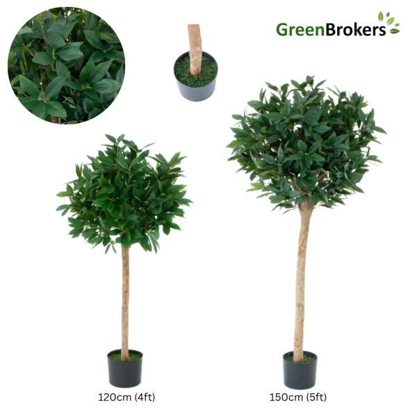 Artificial Laurel Tree With Real Wood Trunk, Natural Leaf and Brown Berries 5ft/150 cm - A1039