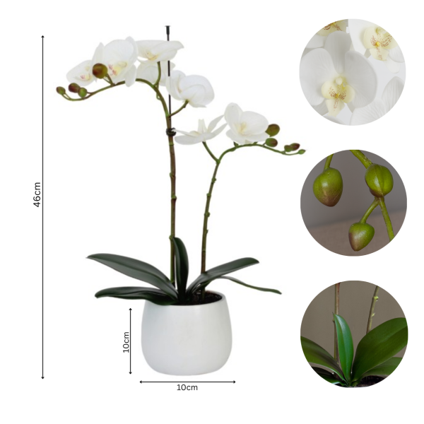 Elegant Double Stem White Real Touch Artificial Potted Orchid (46cm) in Round White Ceramic Pot A1041