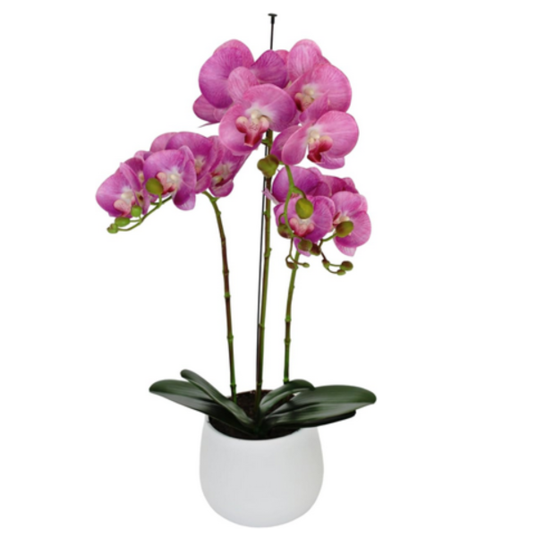 Elegant Large Triple Stem Pink Real Touch Artificial Potted Orchid (65cm) in Round White Ceramic Pot - A1317