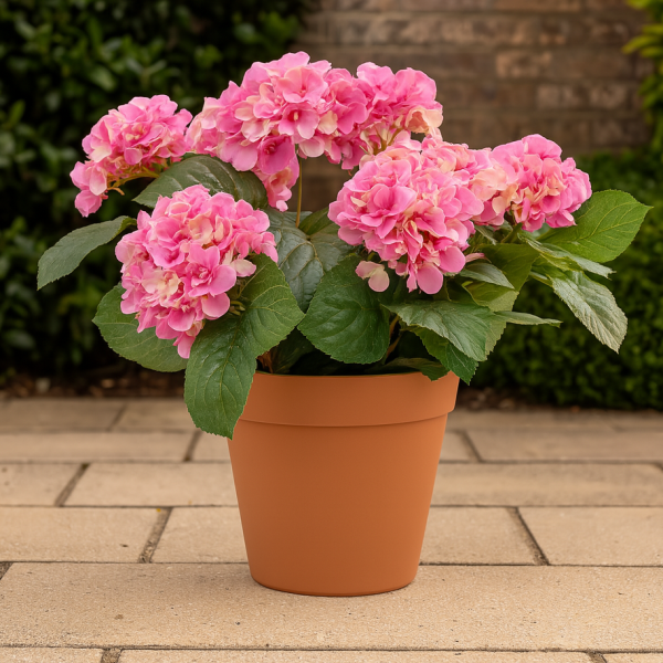 Artificial Pink Hydrangea in Terracotta Pot 50cm/20in - A1308