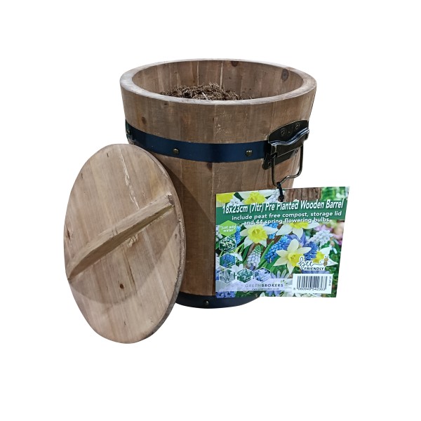 Pre-Planted Wooden Barrel Planter | 44 Blue & Yellow Spring Flowering Bulbs | Just Add Water | 18x23cm | Peat-Free Compost | Bee-Friendly Mix - GB1347