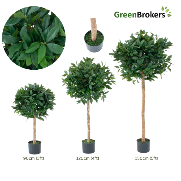 Artificial Bay Trees (Set of 2) With Real Wood Trunk, Natural Leaf and Brown Berries 4ft/120 cm - A1002