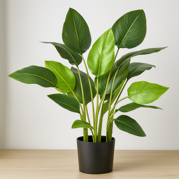 Artificial Real Touch Bird of Paradise Plant 78cm/2.5ft - A1048