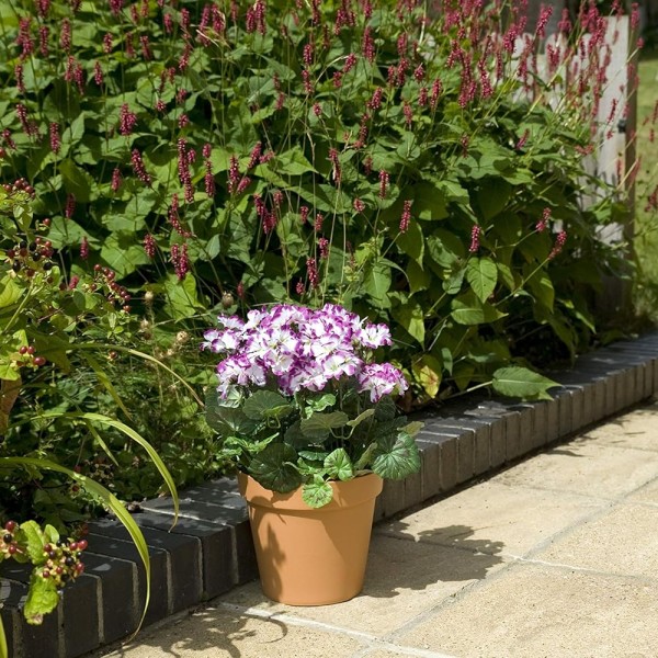 Artificial Terracotta Patio Planter with Pink and White Geraniums 50cm/20in - A1085