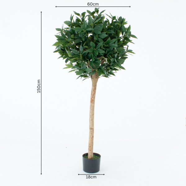 Artificial Laurel Tree With Real Wood Trunk, Natural Leaf and Brown Berries 5ft/150 cm - A1039