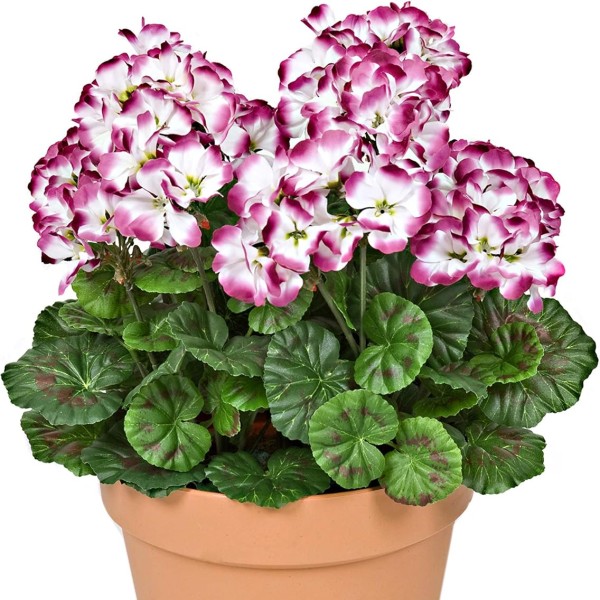  Artificial Terracotta Plastic Patio Planter with White and Purple Geraniums 50cm/20in - A1086