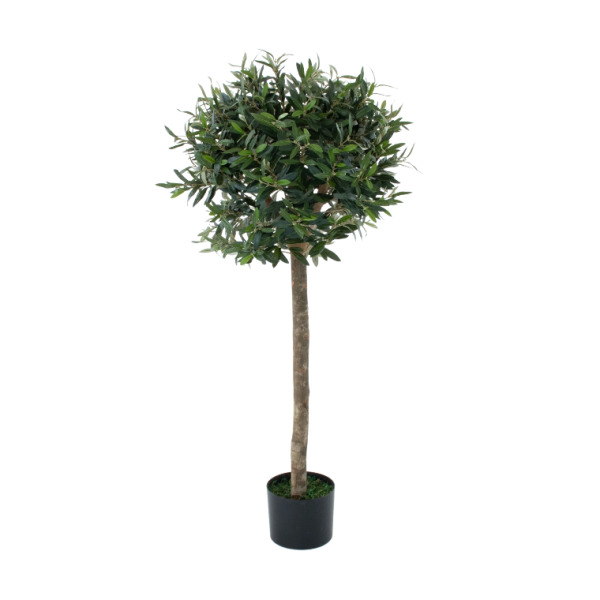 Artificial Olive Trees ( Set of 2) With Real Wood Trunk, Premium Quality Natural Appearance 4ft/120 cm - A1046