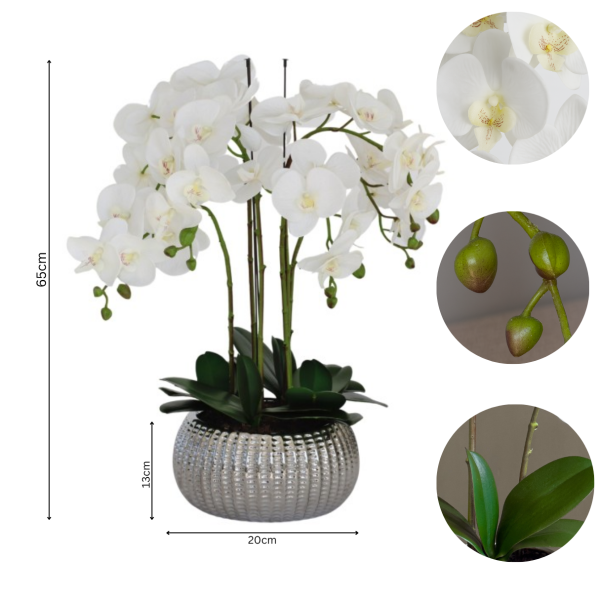 Elegant Large Six Stem Butterfly White Real Touch Artificial Potted Orchid (65cm) in Decorative Silver Ceramic Pot A1044
