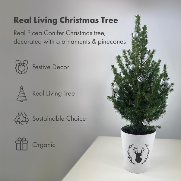 Real Living 60-65cm Picea Christmas Tree | Conifer with Silver Garland & Pinecones | Festive Reindeer Design White Wood Pot | for Indoor & Outdoor, 60cm - GB1462