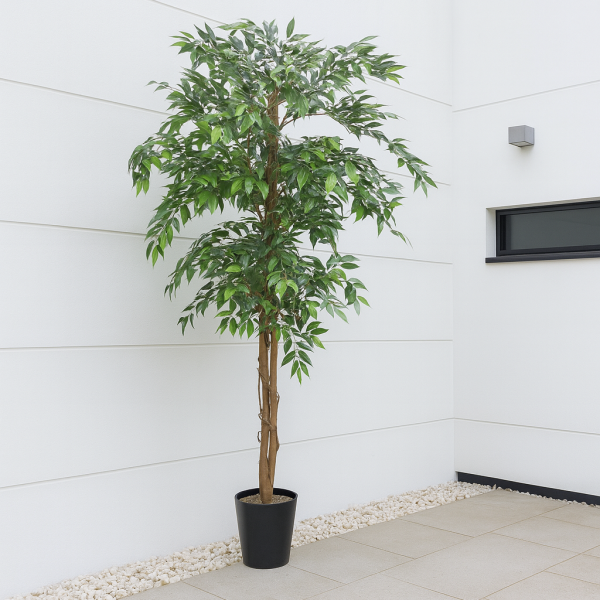 Artificial Ficus Weeping Fig Tree Potted Plant 180cm/6ft - A1275