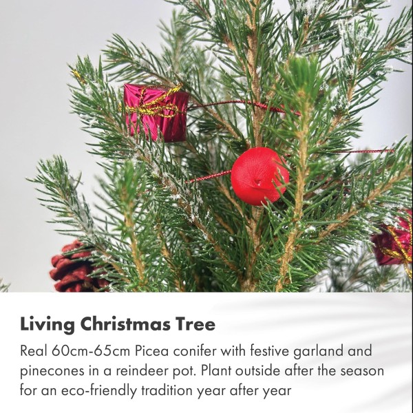 Real Living 60-65cm Picea Christmas Tree | Conifer with Red Garland & Pinecones | Festive Reindeer Design Dark Wood Pot | for Indoor & Outdoor, 60cm - GB1463