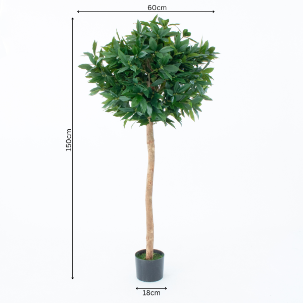 Artificial Bay Tree With Real Wood Trunk, Natural Leaf and Brown Berries 5ft/150 cm - A1058