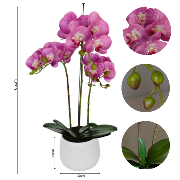 Elegant Large Triple Stem Pink Real Touch Artificial Potted Orchid (65cm) in Round White Ceramic Pot - A1317