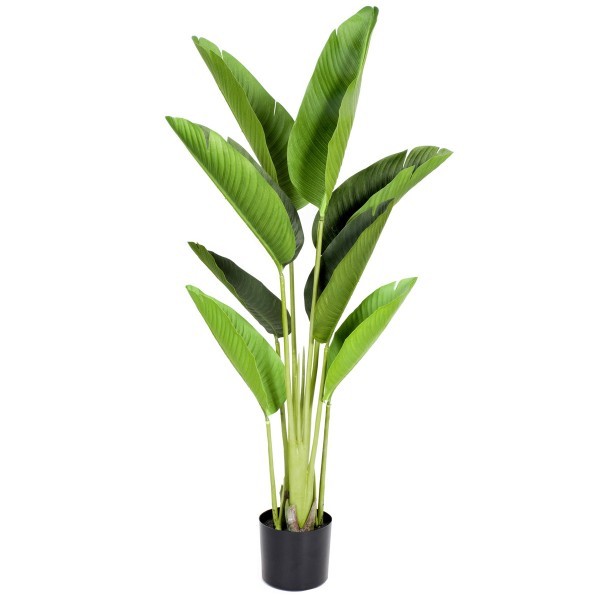 Artificial Real Touch Bird of Paradise Tree in Pot 120cm/4ft - A1198